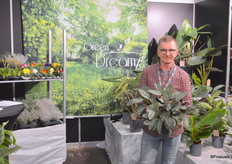 Peter van Staalduinen met in de hand een Ctenanthe. Green Dreamz is een nog relatief jonge kwekerij gespecialiseerd in de teelt van tropische groenen planten en Canna-varieteiten, die een jaar of vijf geleden gestart werd door Wouter Vreugdenhil.